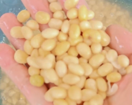 豆浆