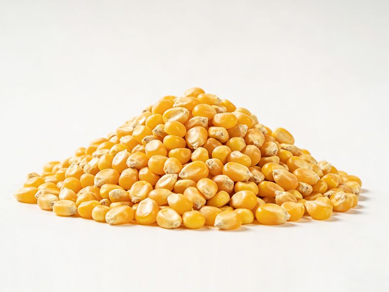 Corn Milling Solution