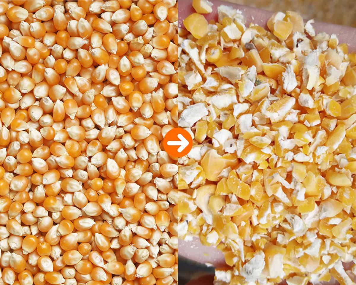刀鲨/Agricultural Double Roller Crusher/破碎玉米